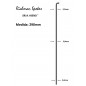 Rayo RICHMAN SR14 J-BEND BLACK 290mm